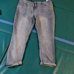 Women's Buffalo Jeans